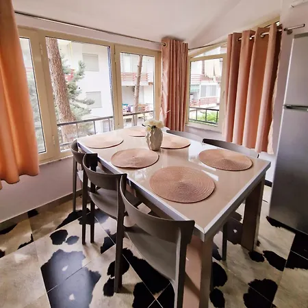 V&m Apartament *
